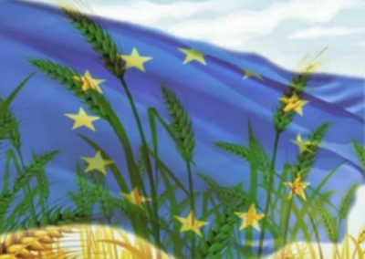 Николай Азаров: «Аграрные ТНК планомерно прибирают все сельхозугодья Украины к своим рукам»