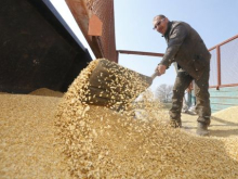 В Словакии усилят контроль за украинским зерном