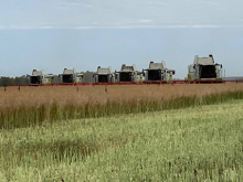 И ты, Си? Китай практически прекратил импорт пшеницы из России