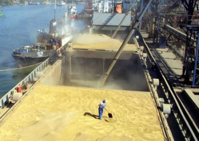 Экспортёры зерна РФ готовы к поставкам в нуждающиеся страны и без зерновой сделки