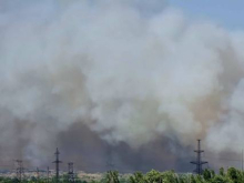 Вокруг Запорожской АЭС горят леса. Киев говорит о полном отключении ЗАЭС от энергосети