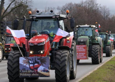 Выбрось сыр — отомсти соседу. На Украине призывают к бойкоту польских товаров