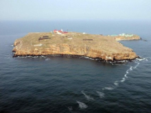 ВСУ готовят операцию по освобождению острова Змеиный с использованием британских РСЗО