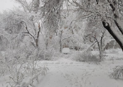 Снежный коллапс в ЛНР: из-за непогоды без электричества в республике до сих пор остаются десятки тысяч человек