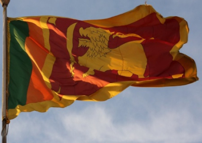 Шри-Ланка попросила Россию выплатить компенсации за погибших и раненых ланкийцев в зоне СВО