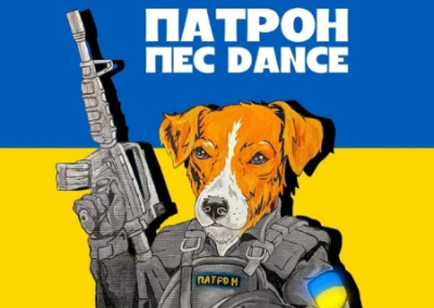 «Напанувалысь». Украинцы хотят видеть президентом страны собаку