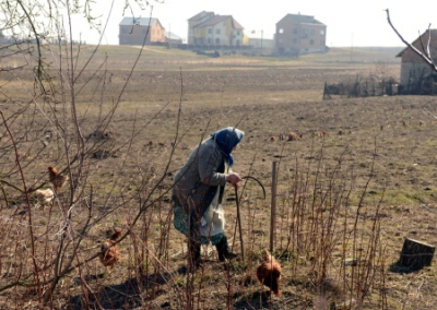 Аграрная сверхдержава наоборот: Украина наращивает импорт продовольствия