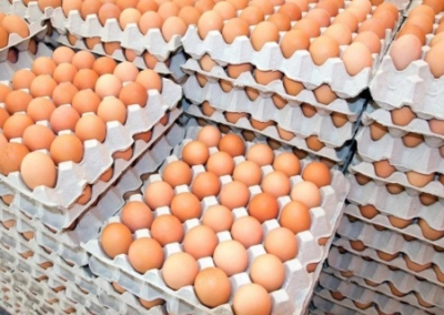 В Россию завезли первую партию яиц из Турции
