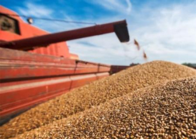 США выделят 68 млн долларов на закупку украинской пшеницы