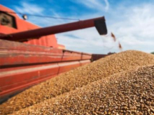 США выделят 68 млн долларов на закупку украинской пшеницы