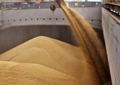 Зеленский пригрозил арбитражем европейским странам из-за ограничений экспорта украинского зерна
