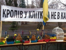 Ни кули в лоба, ни цугундера. Фанаты назвали Яценюка лучшим премьером в истории Украины