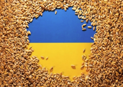 Украина требует от ЕС покрытия расходов на «зерновой коридор солидарности»