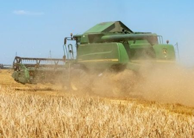 В Запорожской и Херсонской областях высокая урожайность зерновых, несмотря на сжигание полей ВСУ