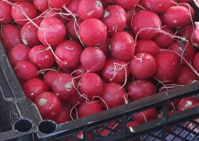Первая партия украинских овощей распродана в Крыму