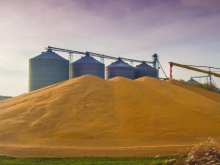 В США ломают голову как вывезти с Украины 20 млн тонн зерна