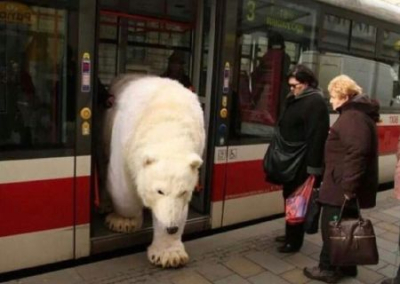 Три причины провала Зеленского в Вильнюсе