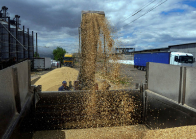 Венгрия и Румыния продлят до конца года истекающий 15 сентября запрет на импорт зерна из Украины
