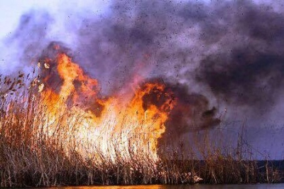 Уничтожение Херсонской природы. Украина вновь доказала свою европейскую несостоятельность