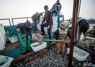 Украина разорвала соглашение с Россией в сфере рыболовства в водах Азовского моря
