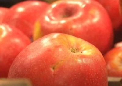 Министерство обороны Украины закупает для ВСУ яблоки в три раза дороже рыночной цены