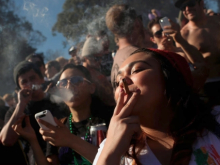 Страна наркоманов: почти два десятка штатов в составе США легализовали марихуану