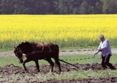 Врачей на фронт, пенсионеров в поле. Мобилизация на Украине обезлюживает село