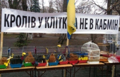 Ни кули в лоба, ни цугундера. Фанаты назвали Яценюка лучшим премьером в истории Украины