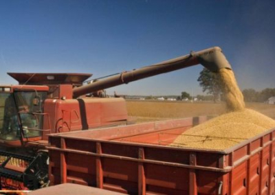 Украинцам грозит голод. В 2022 году урожай зерновых в стране сократится на треть