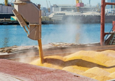 Российские и турецкие дипломаты достигли принципиальной договорённости о поставке миллиона тонн зерна