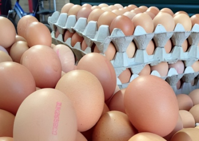 «При виде камеры они по 85, как только они уйдут, яйца станут по 150». В ДНР на местном телеканале убеждают в дешевизне яиц