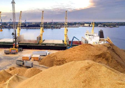 РФ продлила «зерновую сделку» на два месяца без учёта её требований