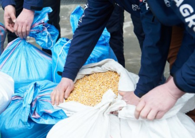 Евросоюз «обнуляет» украинское зерно и сельхозпродукцию в целом, чтобы защитить собственных производителей