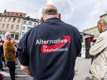 Неонацистские провокации немецких спецслужб. Запретят ли в ФРГ партию «Альтернатива для Германии»?