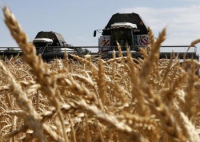 Перебои с поставками зерна из России и Украины сократят на четверть рынок пшеницы. И не только