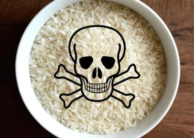 Рис — угроза человечеству. Запад выставил экологическую повестку против Глобального юга
