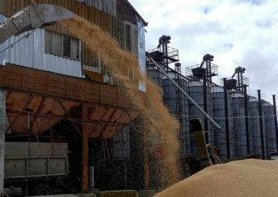 Евростат: Россия входит в пятёрку крупнейших поставщиков зерна в Евросоюз