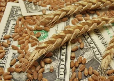 Польский министр призвал украинский олигархат продавать своё зерно в другом месте