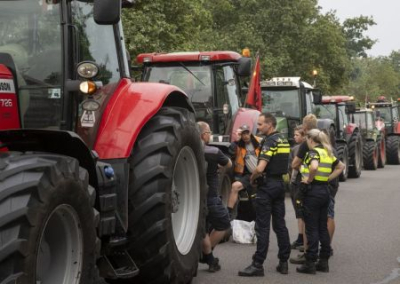 В Нидерландах протестуют фермеры, от которых правительство требует собрать к 1 сентября урожай картофеля, который не успеет созреть