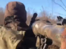 Видео: ВСУ запрещённым оружием уничтожили позиции ополчения