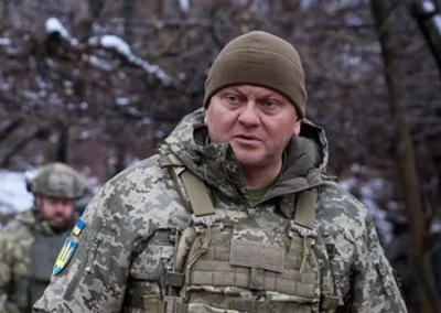 Генералы пищевой карьеры. Отставка Залужного ничего не изменит на Украине