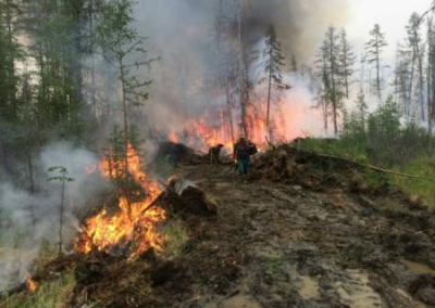 Якутские лесные пожары могут привести к ещё более глобальной катастрофе