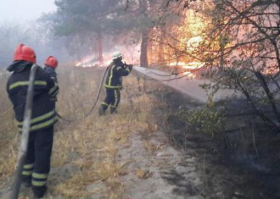В Раде потребовали уволить руководство Луганской области за гибель людей в ходе лесных пожаров