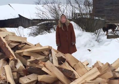 В России 17% домохозяйств отапливаются дровами