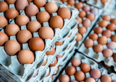 В Совете Федерации пообещали снижение цен на яйца весной