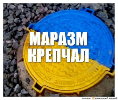 Маразм неутомимо прогрессирует: украинцы требуют от Порошенко запретить российский рубль