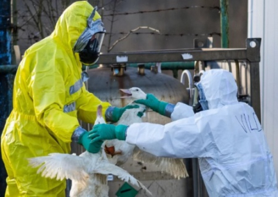 США провели во Львове тренинг по использованию вируса патогенного гриппа птиц