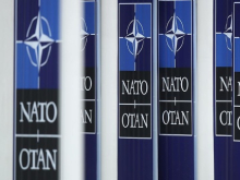 НАТО готовится к реформам Трампа. А Зеленскому обещают «освещённый мост» вместо членства в альянсе