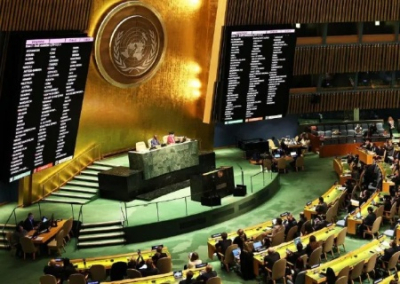Украина и Британия отказались в ООН поддерживать арабскую резолюцию с призывом к миру