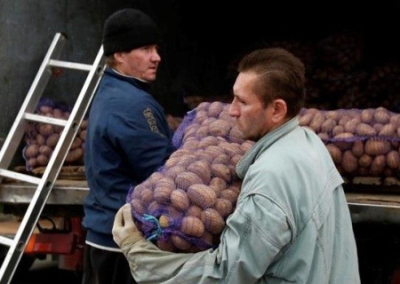 Украина закупает картофеля в два раза больше, чем продаёт